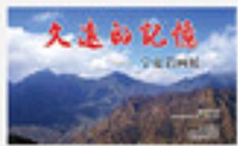 四张小图加文字1